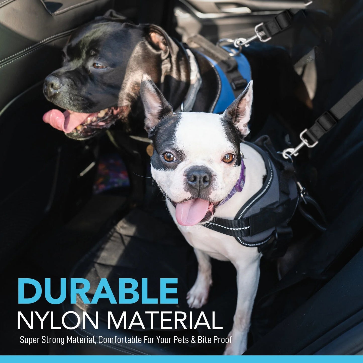 Hot Selling Retractable Safety Rope Car Safety Buckle Dog Leash Pet Safety Belt Dog Car Seat Belt