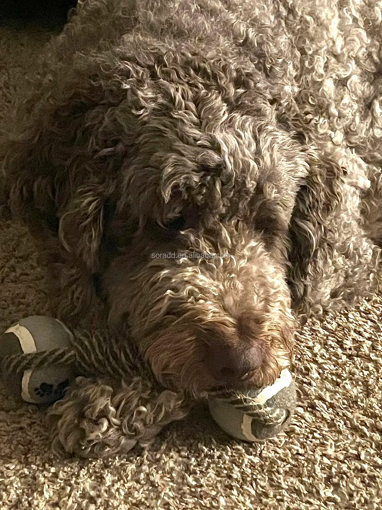 Durable Nylon Dog Interactive Dumbbell Shaped Knot Rope Combination Aggressive Dog Rope Toy Molar CHEW Toy Cotton Dog Toy Rope